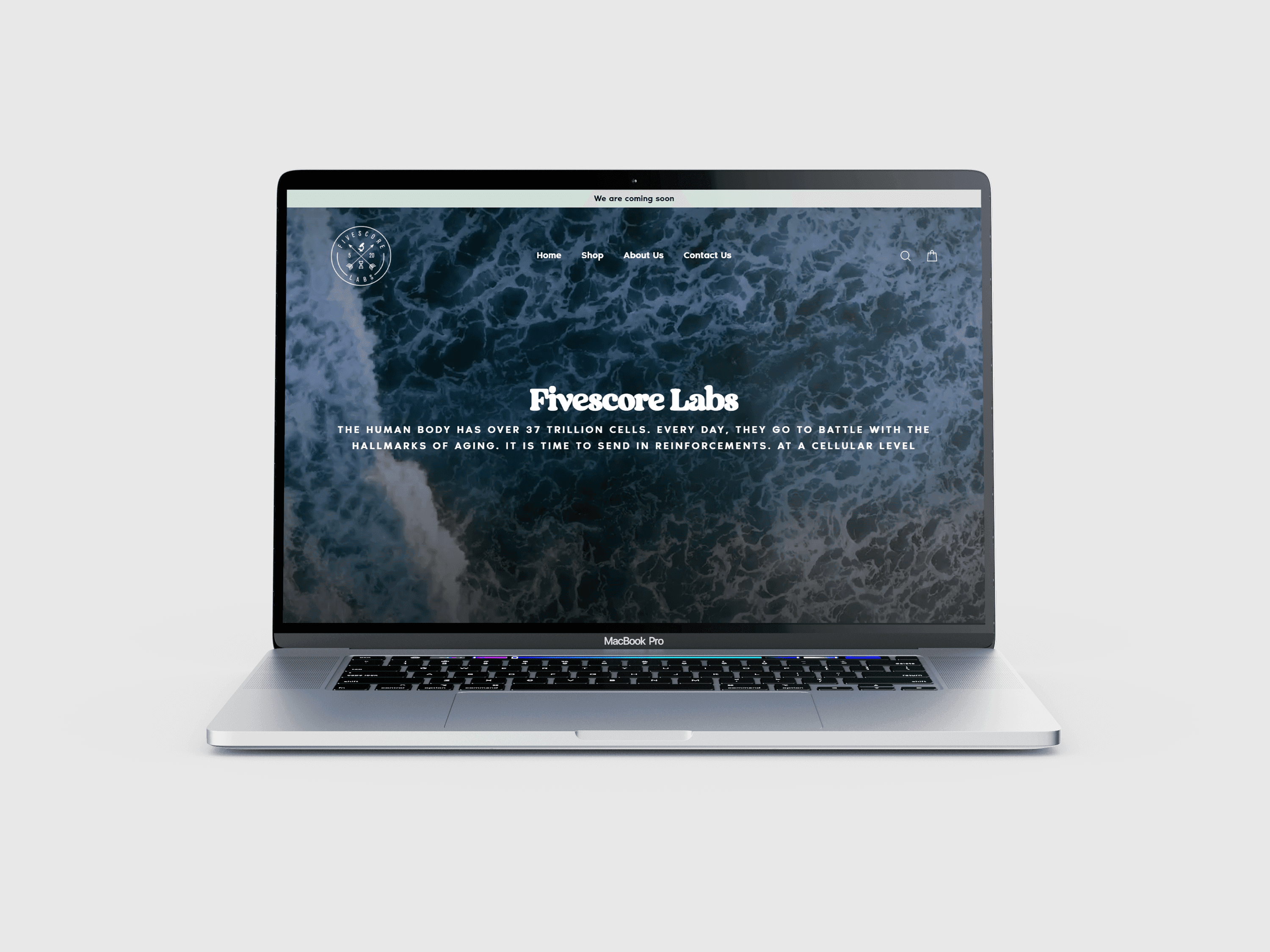 portfolioFivescore Labs